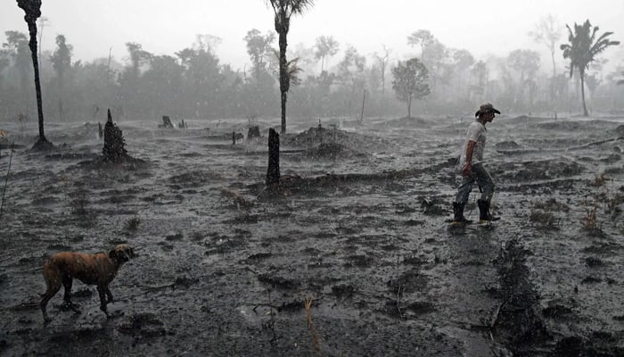 A farmer walked through a burned area of Amazon rainforest near Porto Velho, Brazil, 2019. — AFP