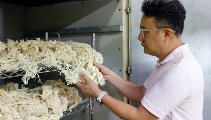 Nelson Yang, founder and general manager of Farm to Material, inspects fibers made from banana pseudostems at the companys facility in Changhua, Taiwan, August 21, 2025. — Reuters