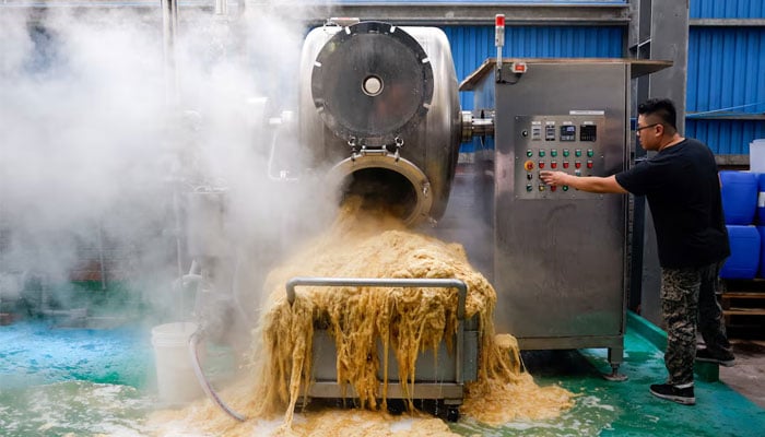A staff member from Farm to Material operates one of the machines that processes banana pseudostems into fiber at a facility in Changhua, Taiwan, August 21, 2025. — Reuters